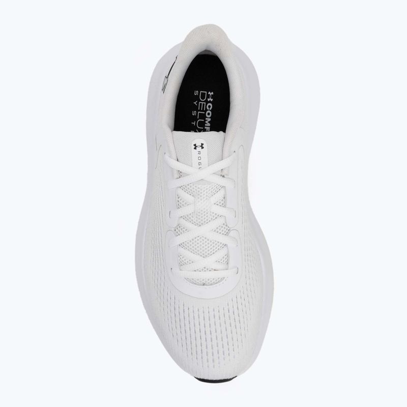 Laufschuhe Herren Under Armour Charged Rogue 5 white/white/black 5