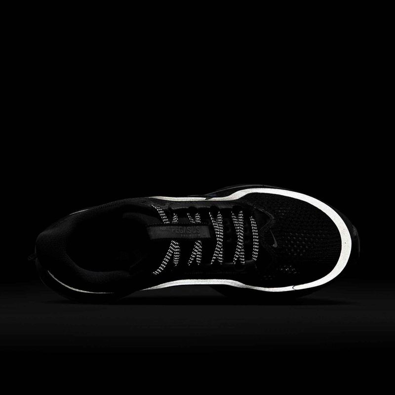 Damen-Laufschuhe Nike Pegasus Premium black/metallic silver/black 10