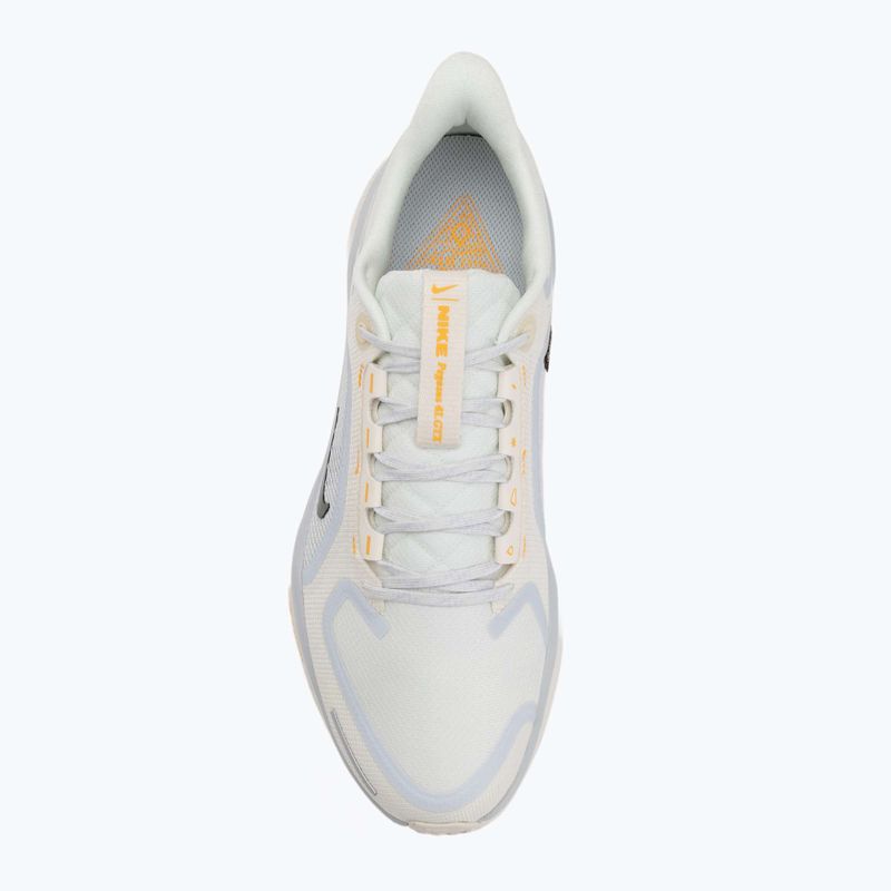 Herren-Laufschuhe Nike Pegasus 41 GTX sail/football grey/sundial/ashen slate 5