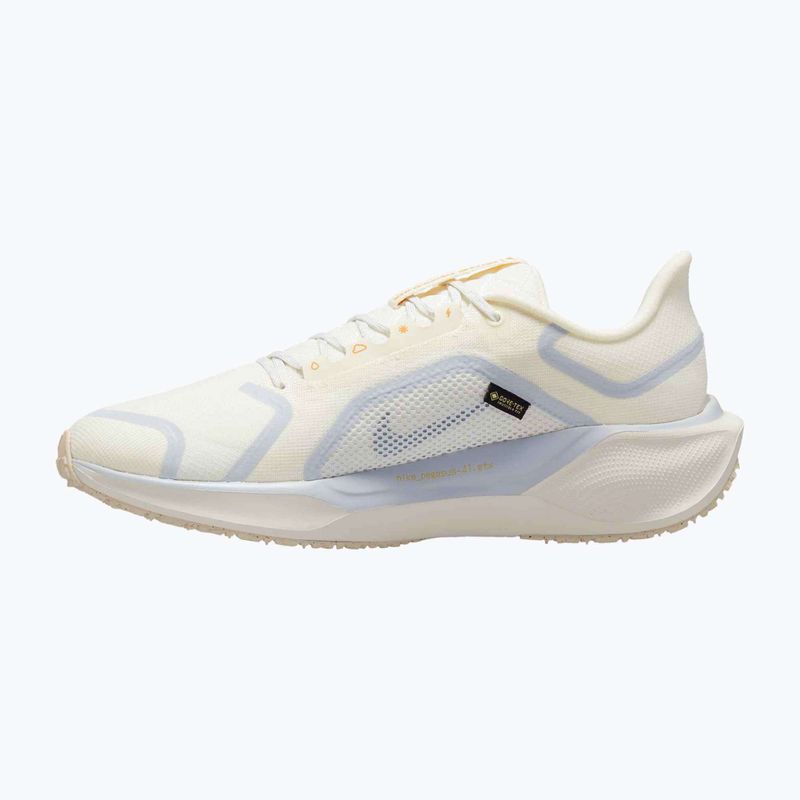 Herren-Laufschuhe Nike Pegasus 41 GTX sail/football grey/sundial/ashen slate 9