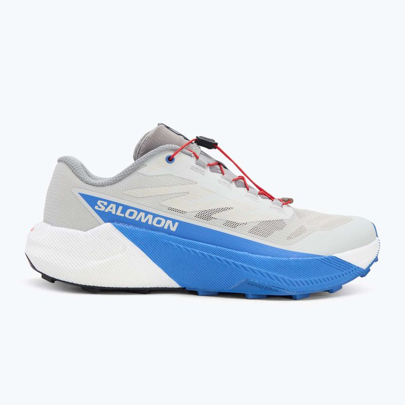 Herren-Laufschuhe Salomon Pulsar lunar rock/weiß/französisch blau 2