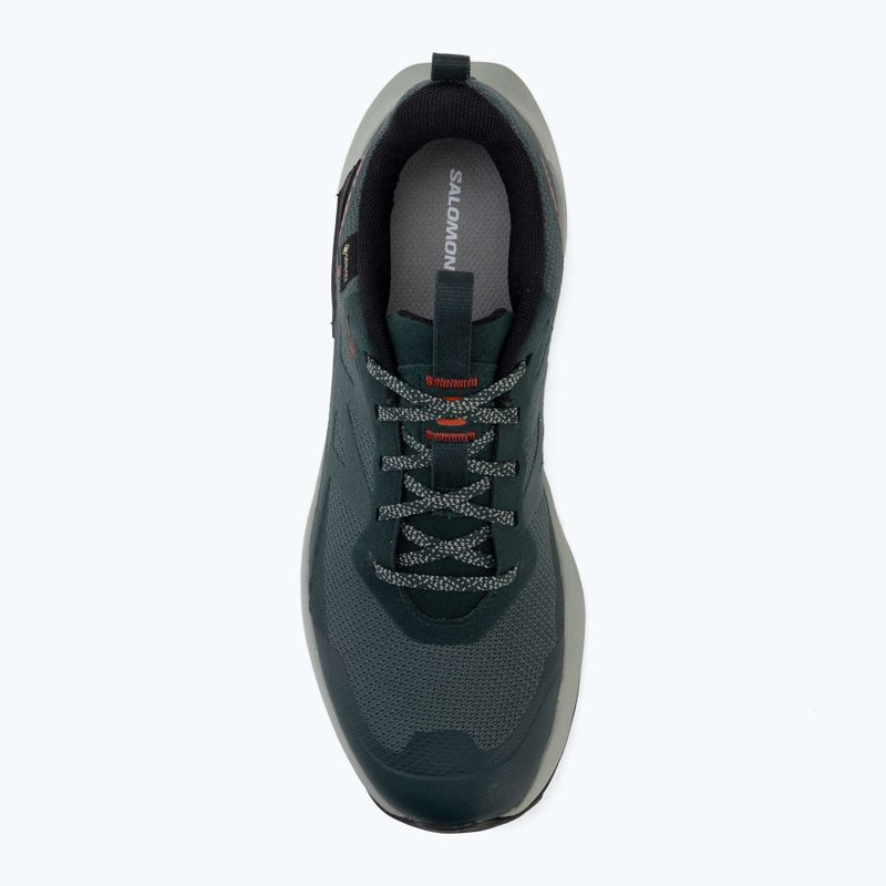 Wanderschuhe Herren Salomon Elixir Activ GTX scarab/green gable 5