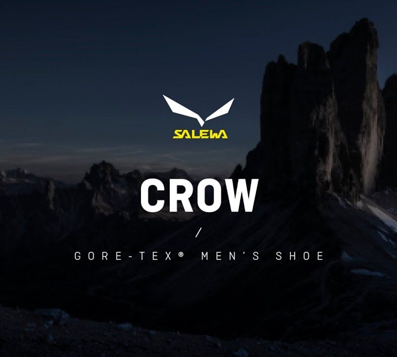 Salewa Herren Hochgebirgsstiefel Crow GTX braun 00-0000061328 12