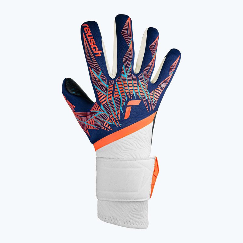 Reusch Pure Contact Fusion Premium Torwarthandschuhe blau/elektrisch orange/schwarz 2