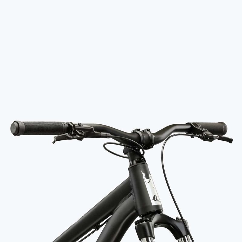Dirtbike KROSS Spade 2.0 black/holo/matte 4