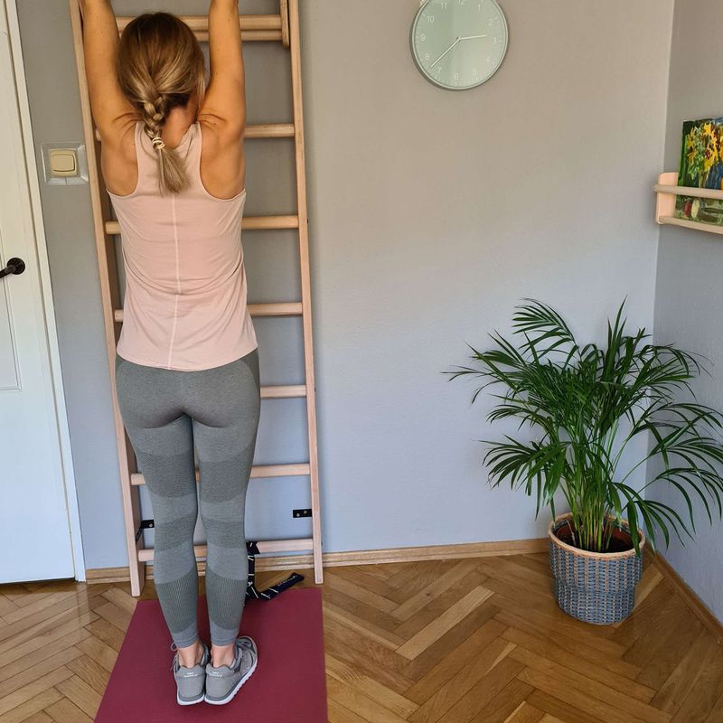 BenchK Bronze-Gymnastikleiter BK-111 10