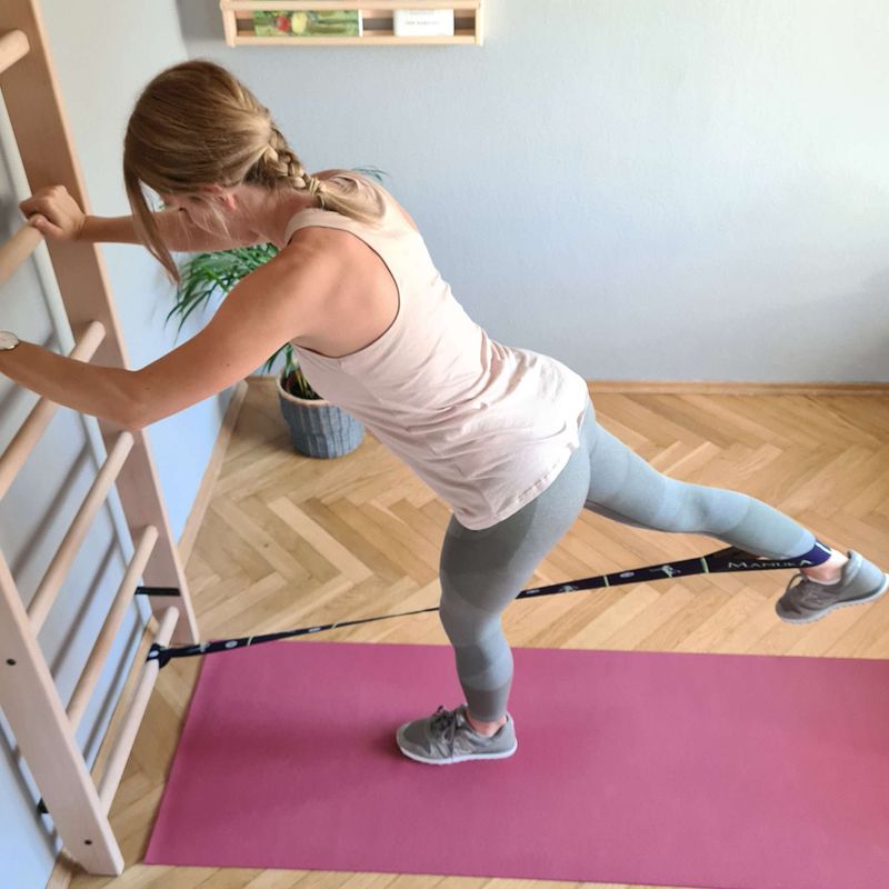 BenchK Bronze-Gymnastikleiter BK-111 12