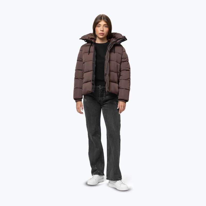 Damen Winterjacke Pitbull Amalia Padded Hooded dark chocolate 2