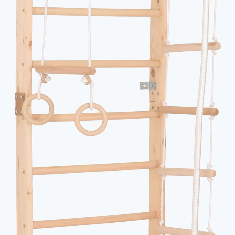 RINAGYM Sport 2 Gymnastikleiter 3