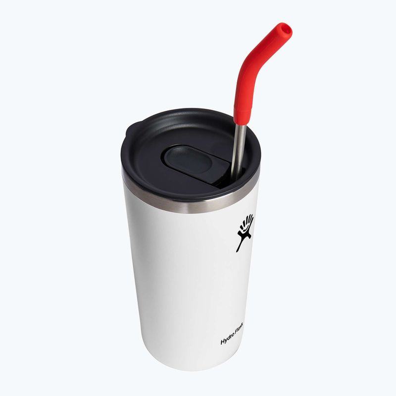 Hydro Flask Edelstahl Strohhalme 2 Stück goji 6