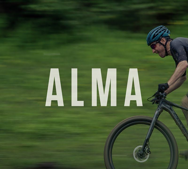 Orbea Alma H50 Mountainbike navy blau 15