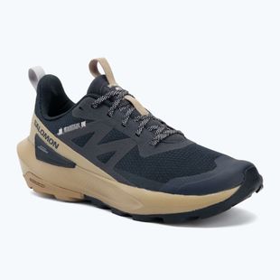 Wanderschuhe Herren Salomon Elixir Activ carbon/slate green/glacier