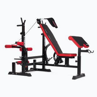XTREXO BenchFit Max Trainingsbank mit Ständer und Gebetsstange schwarz