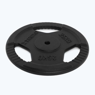 XTREXO Gusseisen Gewicht TRX-ICP025 25 kg Chrom