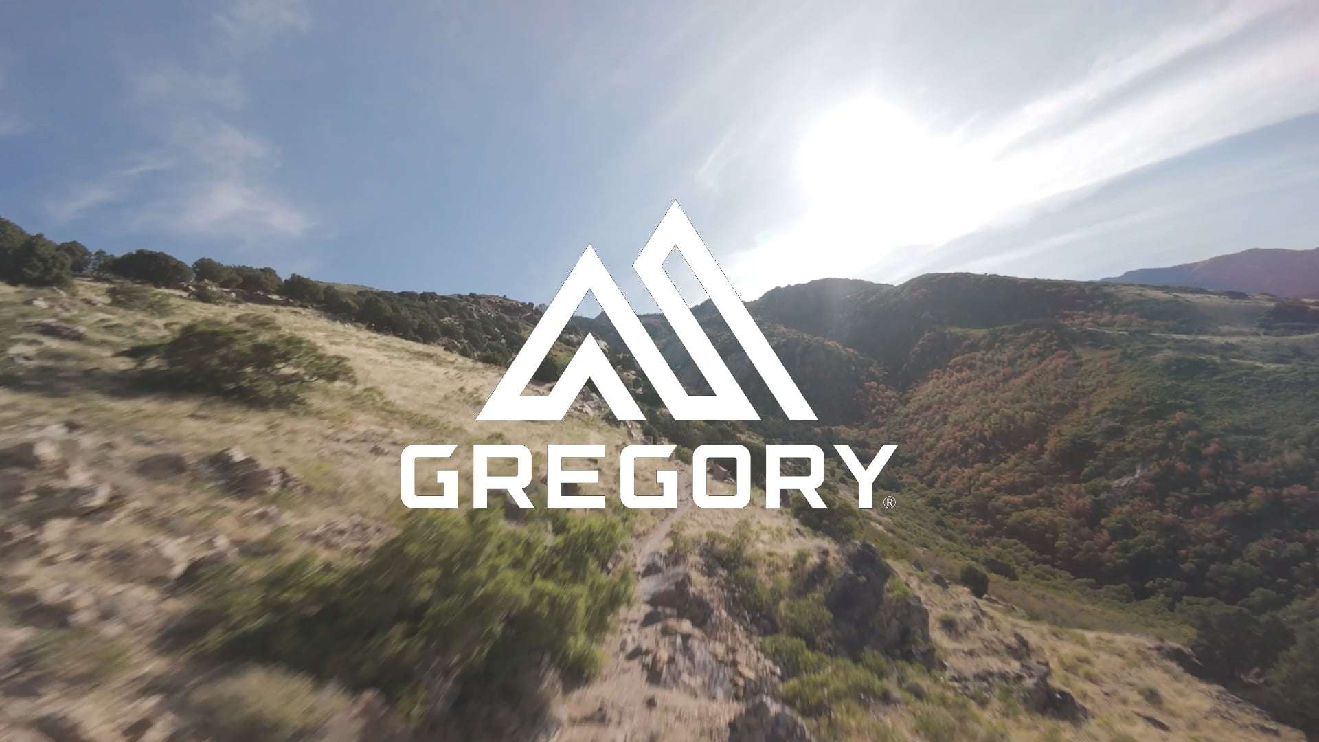 Wander Rucksack Gregory Kiro 20 l RC alpine black