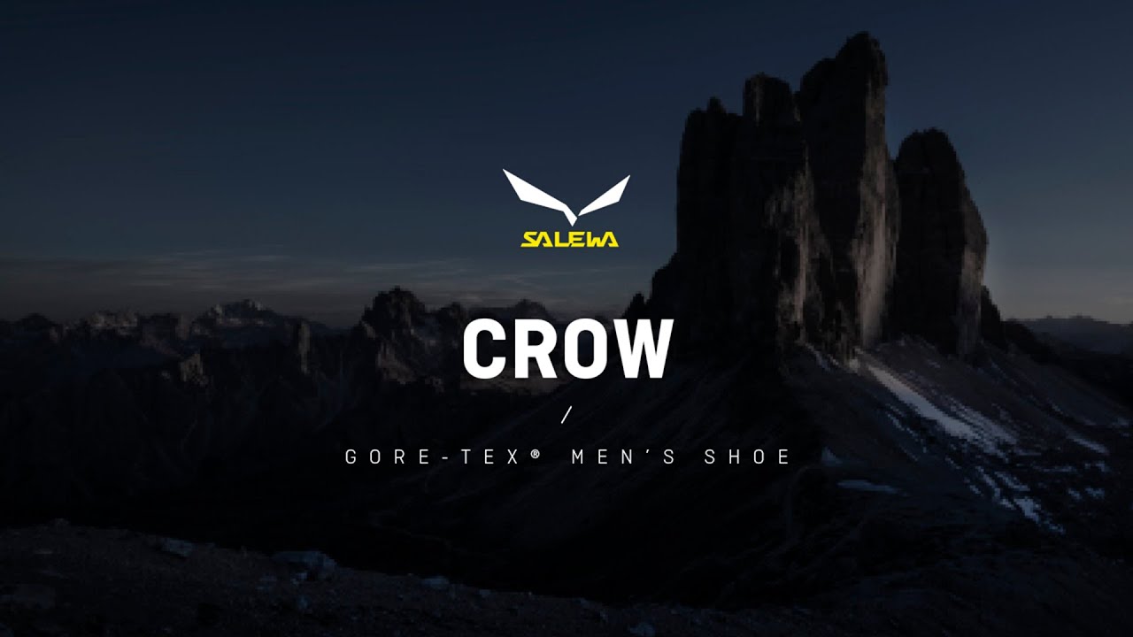 Salewa Herren Hochgebirgsstiefel Crow GTX braun 00-0000061328